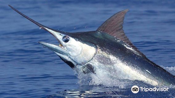 Abidjan Fishing Charter