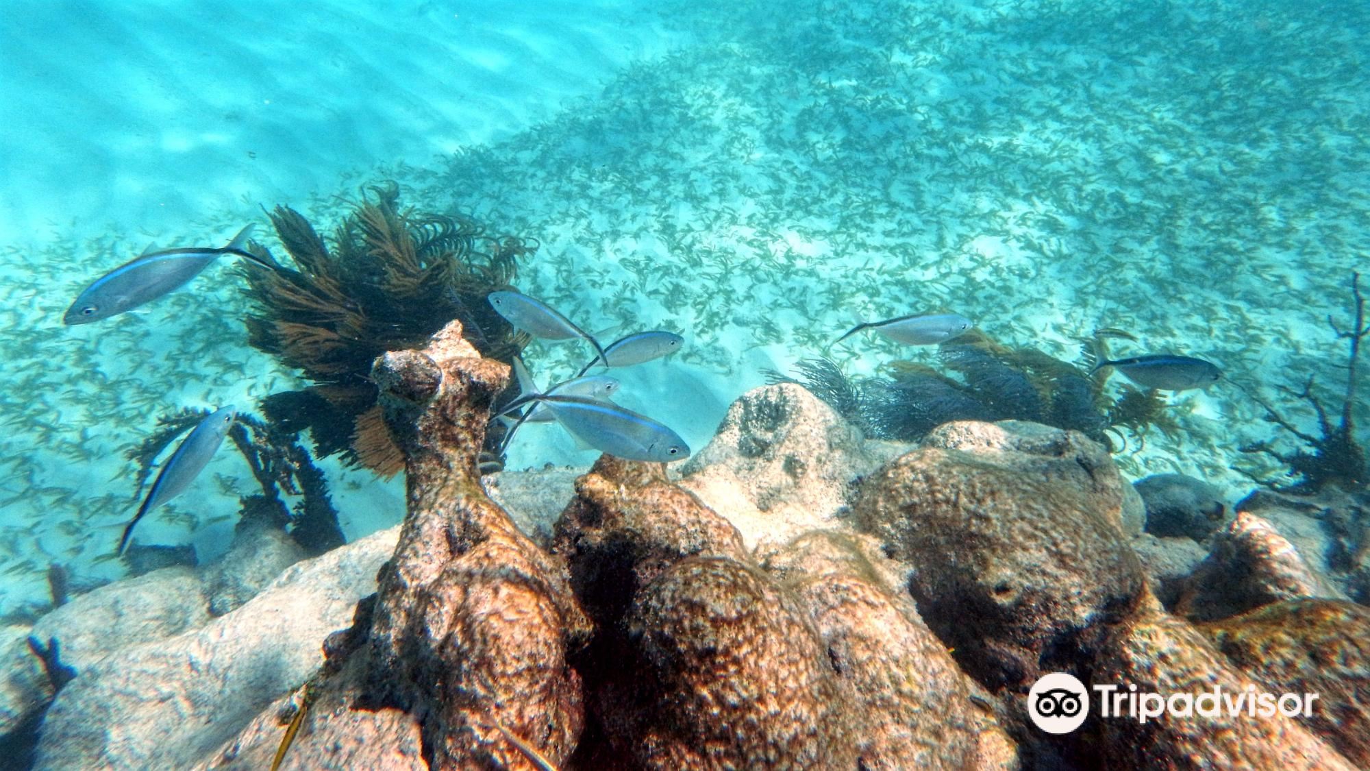 Closest Hotels Near Jimmy Johnson＇s Big Chill Key Largo