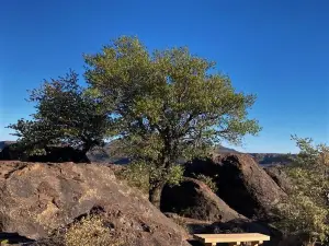 Chihuahuan Desert Nature Center & Botanical Gardens