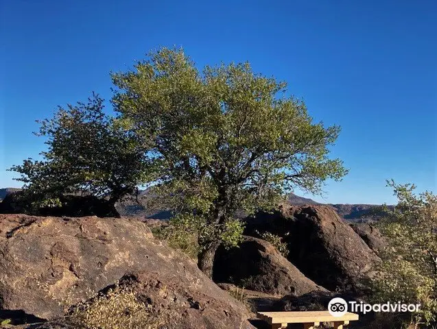 Chihuahuan Desert Nature Center & Botanical Gardens