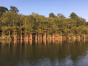 Moro Bay State Park