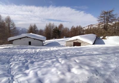 Azienda Agricola Lisa Ettore