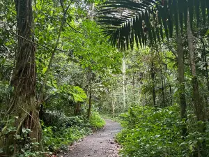 Angelito Trail Head