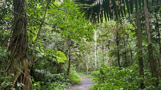 Angelito Trail Head