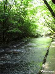 Takkiri Valley