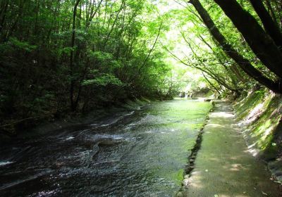 Takkiri Valley