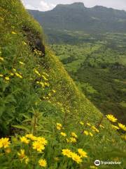 Ghangad Fort