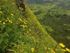 Ghangad Fort