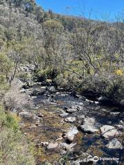 Thredbo Valley Track