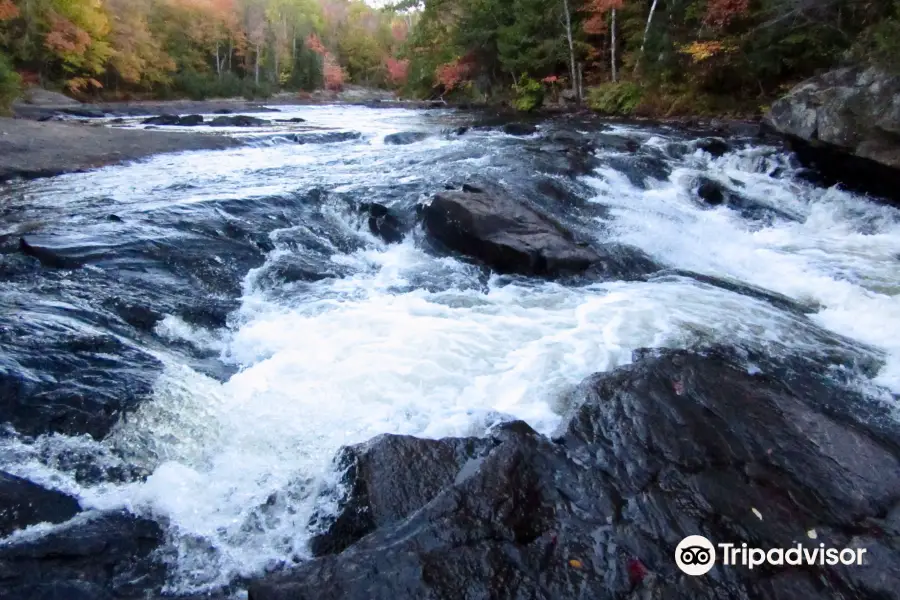 Oxtongue Rapids Park Rd