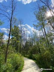 Lion's Den Gorge Nature Preserve