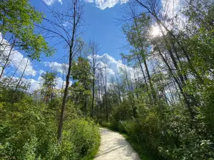 Lion's Den Gorge Nature Preserve