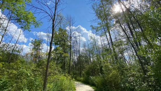 Lion's Den Gorge Nature Preserve