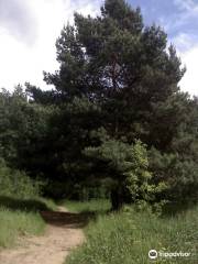 Nudist Beach in Strogino