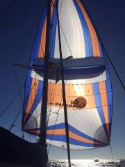 Sail Go Catamaran