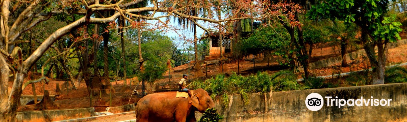 travel