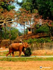 Assam State Zoo