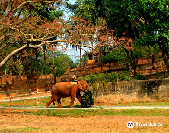 高哈蒂 自由行套票