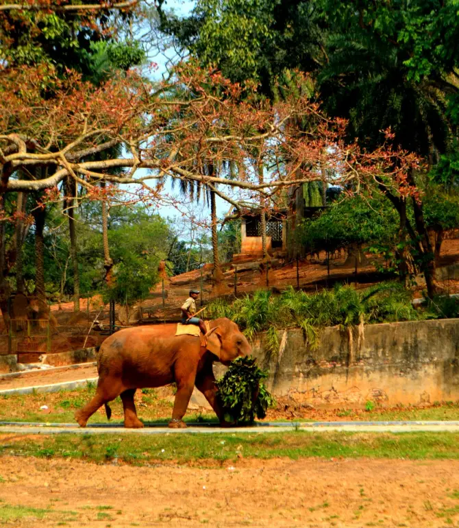 Guwahati