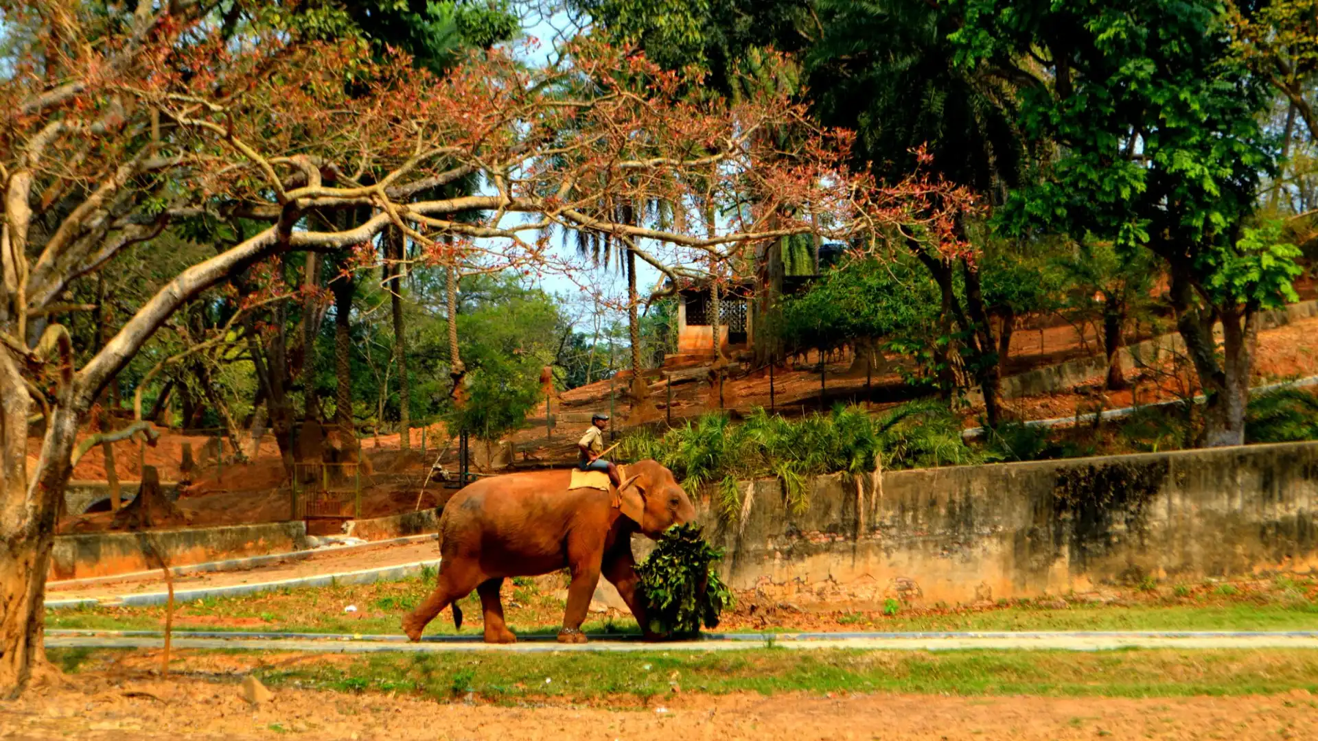 Hotels near Assam State Zoo cum Botanical Garden
