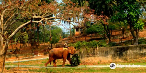 Assam State Zoo and Botanical Garden