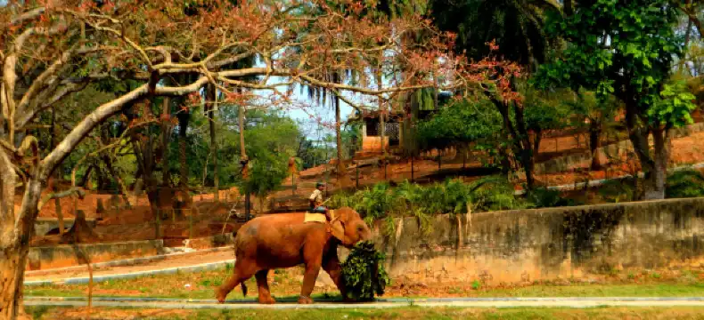 Hotels near Arya Vidyapeeth College Play Ground