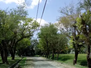 Tonasa Park