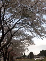 Kuwanobashi Kasen Park