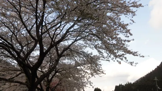 桑野橋河川公園