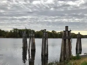 Ferry Park