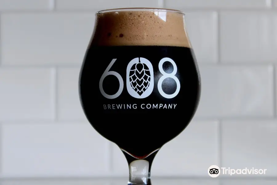 608 Brewing Company