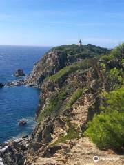 Le Phare du Cap D'arme