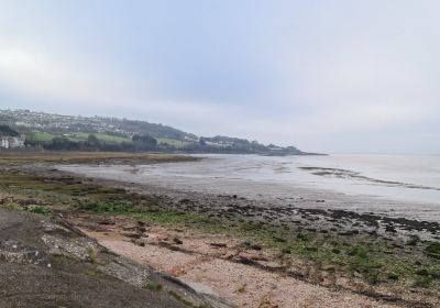 Portishead Lake Grounds