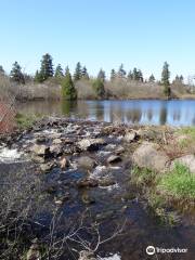 Little River Reservoir Park