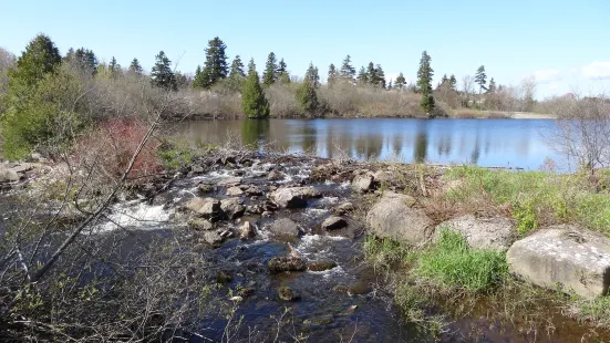 Little River Reservoir Park