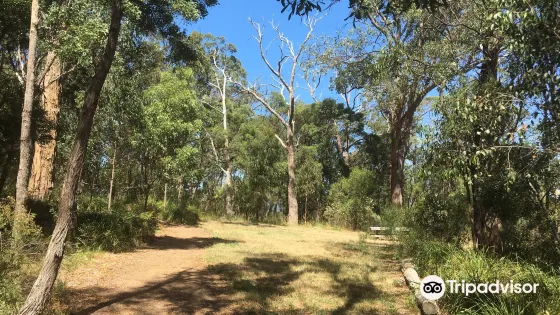 Grandfill Reserve