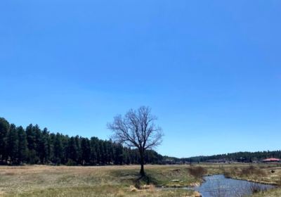 Show Low Bluff Trail