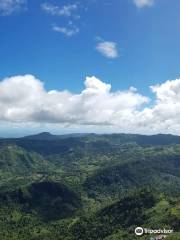 Mount Mauyog Pinnacle Karst