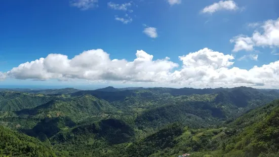 Mount Mauyog Pinnacle Karst