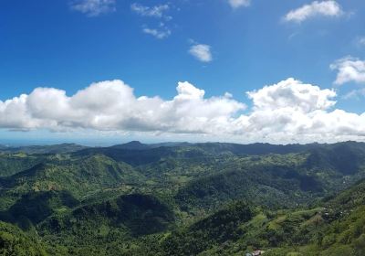 Mount Mauyog Pinnacle Karst