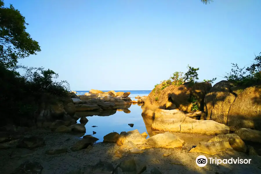 Nosaki Matsushima Beach Camp Site