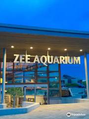 Sea Aquarium Bergen Aan Zee