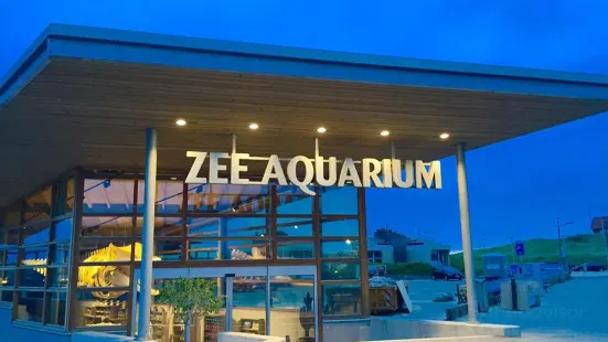 Sea Aquarium Bergen Aan Zee