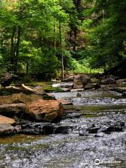 McCormick's Creek State Park - Office