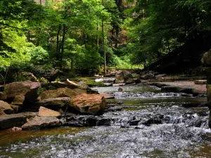 McCormick's Creek State Park - Office