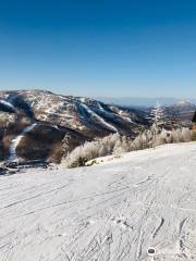 Shigakogen Takamagahara Mammoth Ski Area