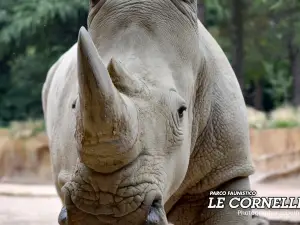 Faunistic Park Le Cornelle