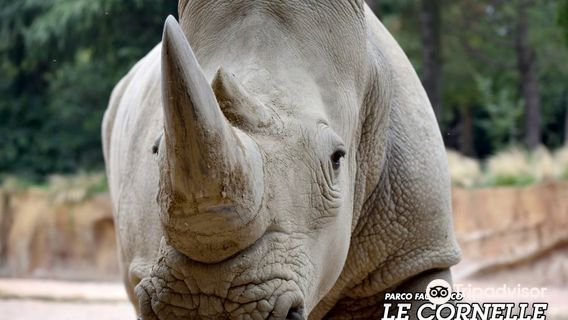 Faunistic Park Le Cornelle