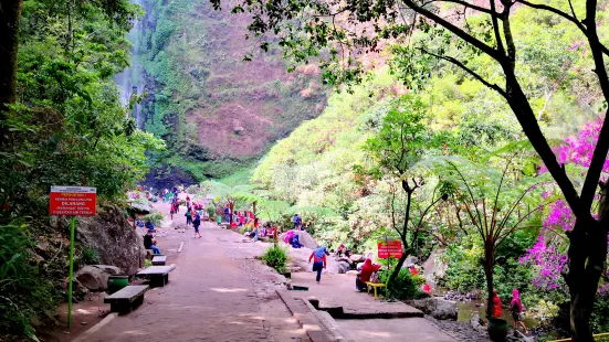 Coban Rondo Waterfall Pujon