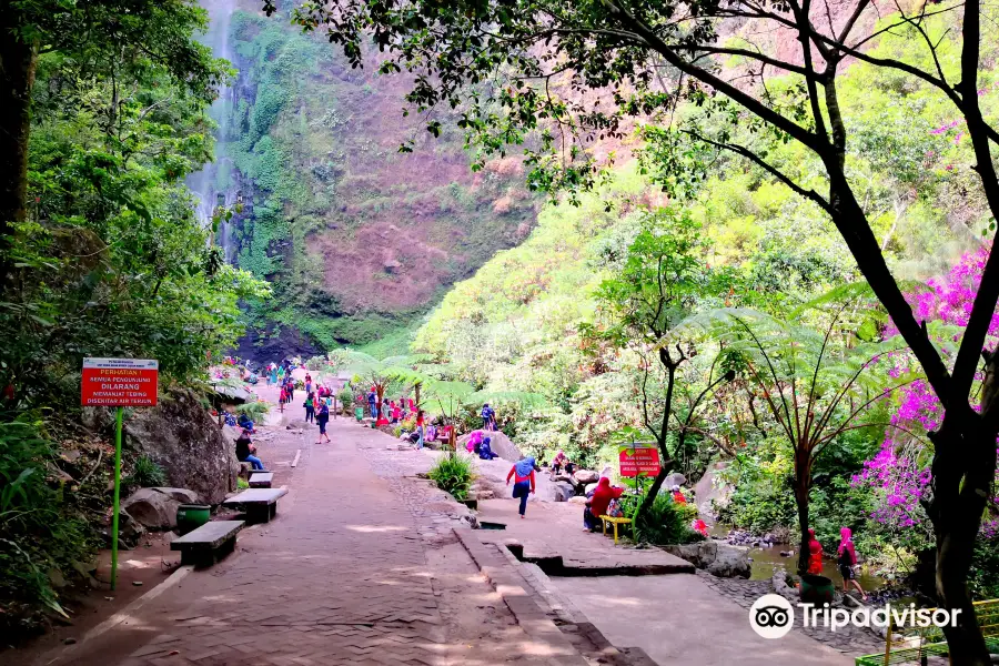 Coban Rondo Waterfall Pujon